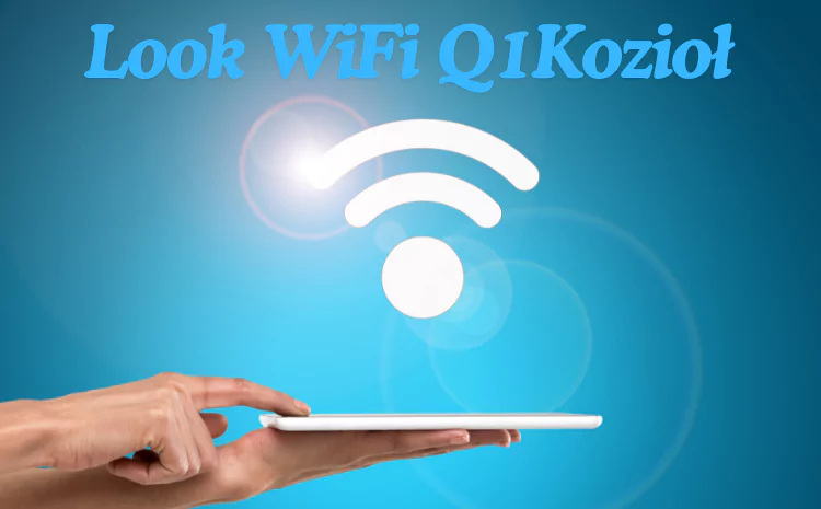 Look WiFi Q1Kozioł: Guide to a Next-Gen Wireless Solution