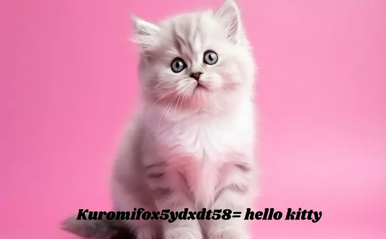 Kuromi: Fox5ydxdt58= Hello Kitty: From Sweet to Sassy