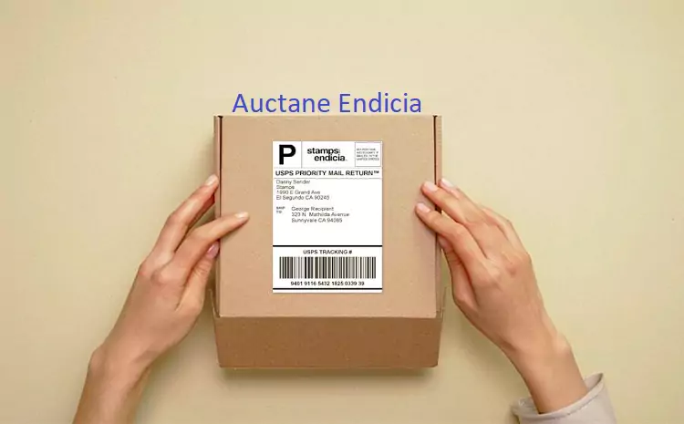 From: Auctane Endicia: A Leading Provider of Internet-Based Postage Services