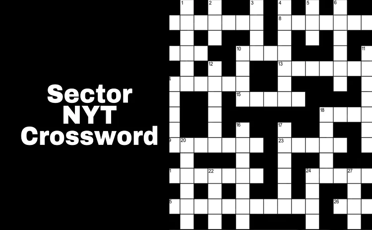 Sector NYT Crossword