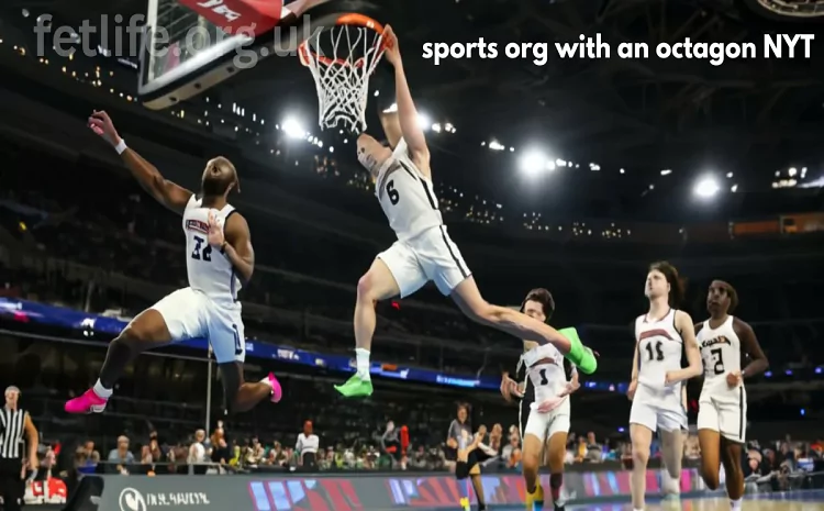 Sport Org with Octagon: An Insight into Octagonal Sports Organizations